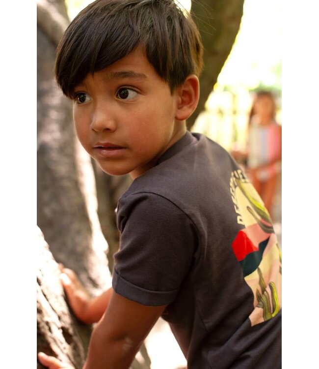 Sturdy 71700495 T-shirt - Desert Fiesta