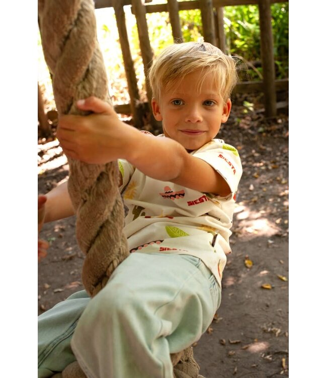 Sturdy 71700496 T-shirt AOP - Desert Fiesta