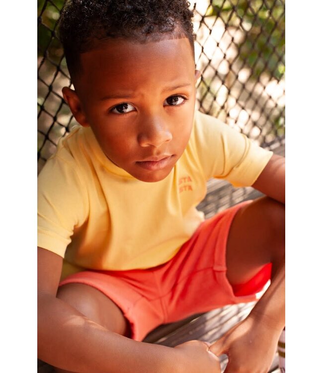 Sturdy 71700497 T-shirt met backprint - Desert Fiesta