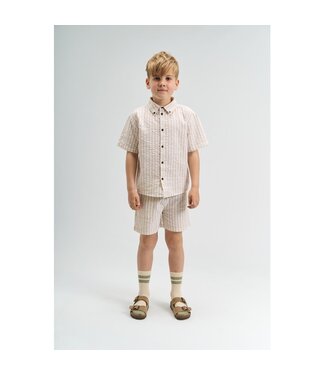 The New TN6935 TNSmith Shorts Humus Striped