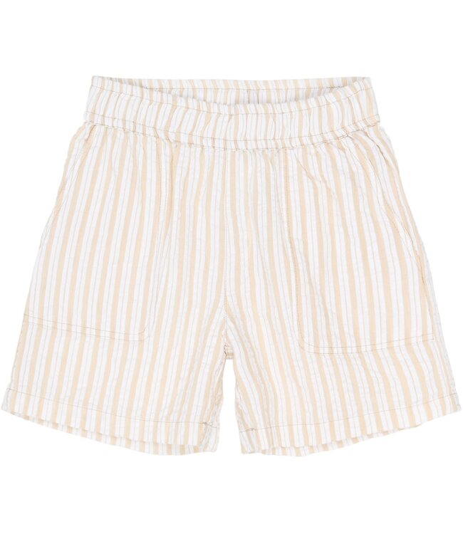 The New TN6935 TNSmith Shorts Humus Striped