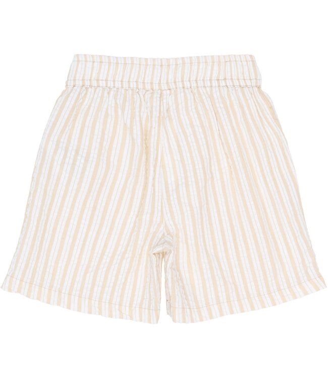 The New TN6935 TNSmith Shorts Humus Striped