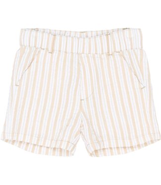 The New TNST6793 TNSTSmitty Shorts Humus Striped