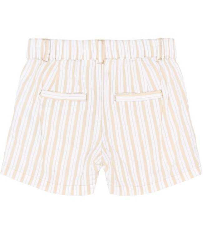 The New TNST6793 TNSTSmitty Shorts Humus Striped