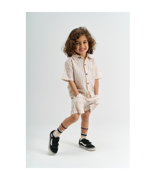 The New TNST6790 TNSTSmitty S_S Shirt Humus Striped