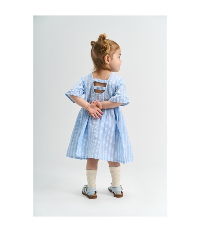 The New TNST6711 TNSTSiri S_S Dress Forever Blue Striped