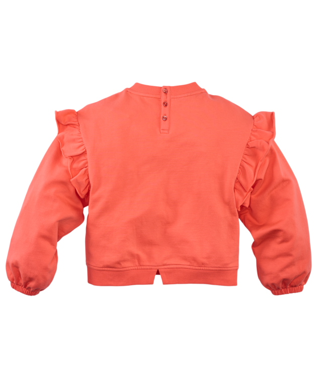 Z8 Zumra Living coral