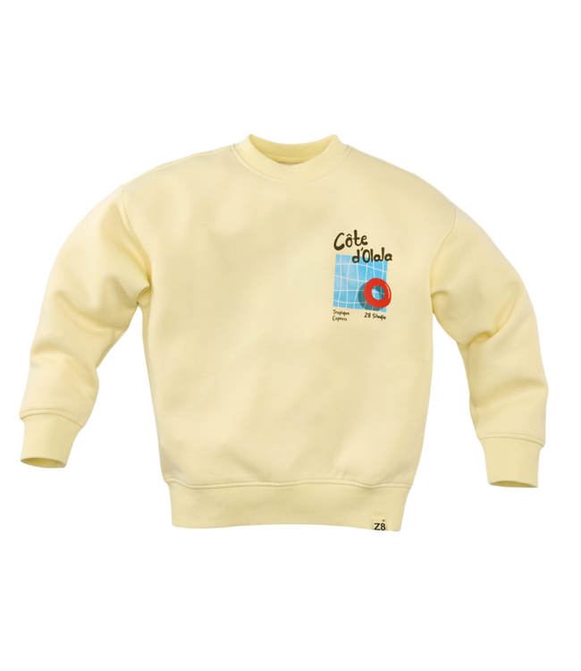 Z8 Xavi  Silly citron