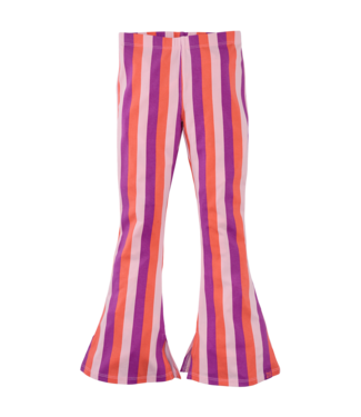 Z8 Jannat Rocky rose