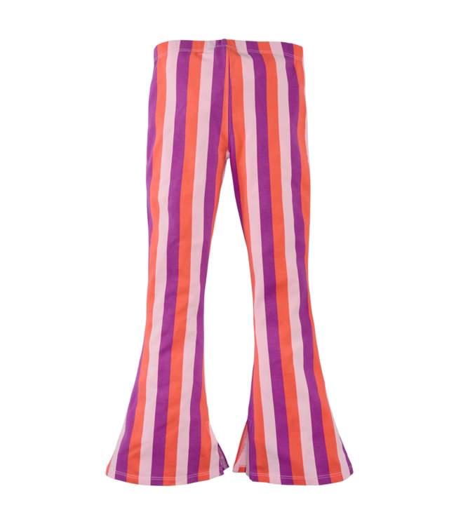 Z8 Jannat Rocky rose