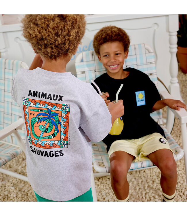 Z8 Thierno Night sky