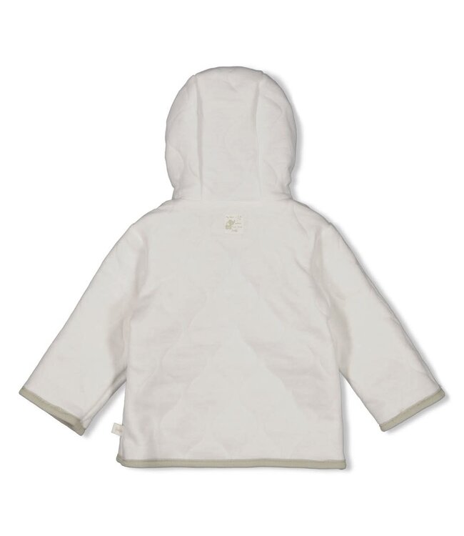 Feetje 51800361 Omkeerbaar jasje met capuchon AO - Elephant Mint