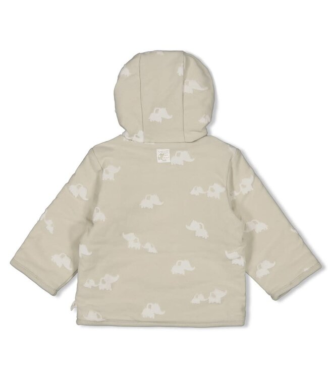 Feetje 51800361 Omkeerbaar jasje met capuchon AO - Elephant Mint