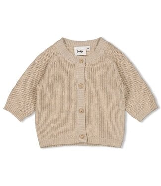Feetje 51300560 Vestje gebreid - Elephant Taupe melange