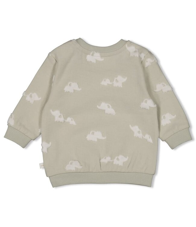 Feetje 51602699 Sweater AO - Elephant Mint