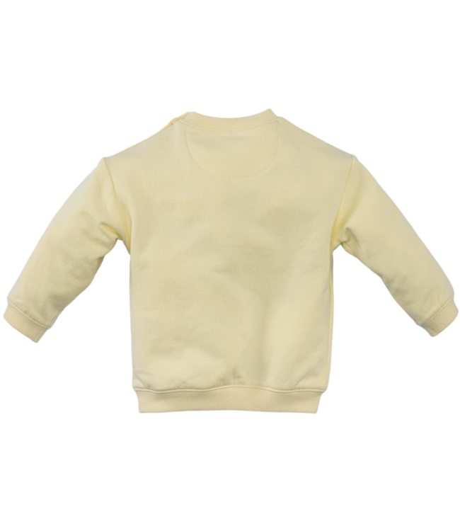 Z8 Guus  Silly citron