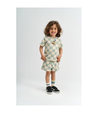 The New TNST6787 TNSTSebastian OS S_S Tee Aqua Gray AOP