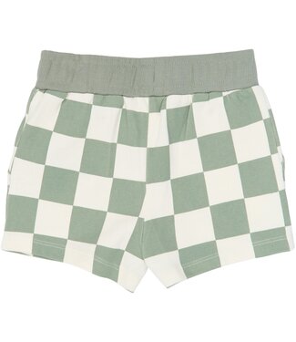 The New TNST6788 TNSTSebastian Shorts Aqua Gray AOP