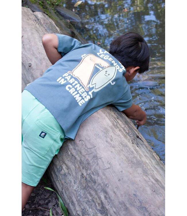 Sturdy 71700508 T-shirt oversized - Lagoon Legends Petrol