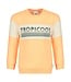 Sturdy 71600654 Sweater - Lagoon Legends Neon Oranje