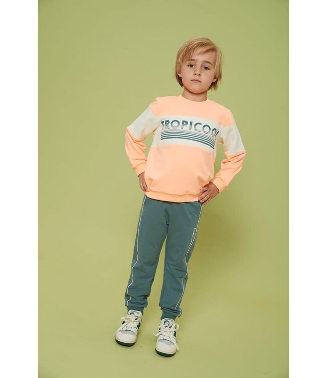 Sturdy 71600654 Sweater - Lagoon Legends Neon Oranje
