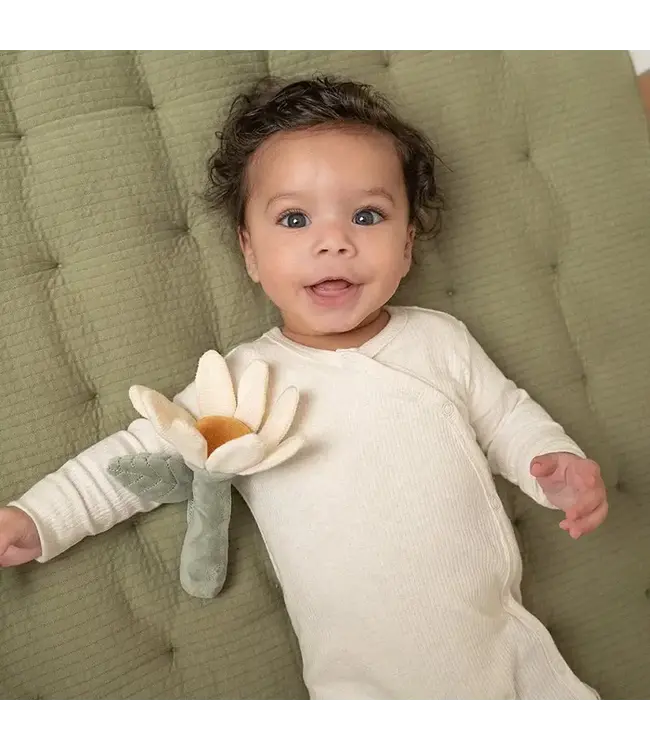 Little Dutch Rammelaar bloem Little Farm