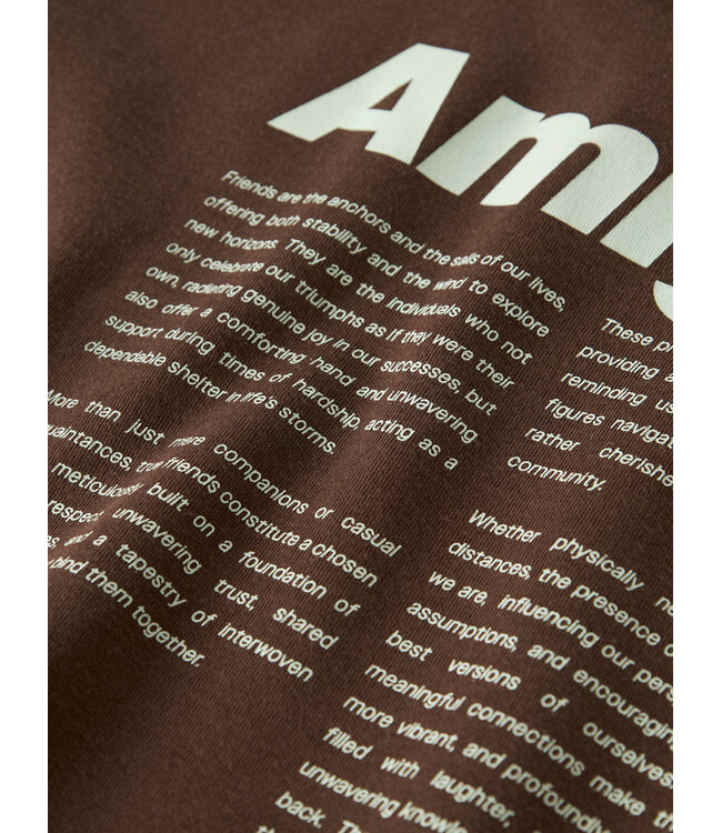 Name it 13255652 - NKMHOLLE SS RLX TOP - Chestnut