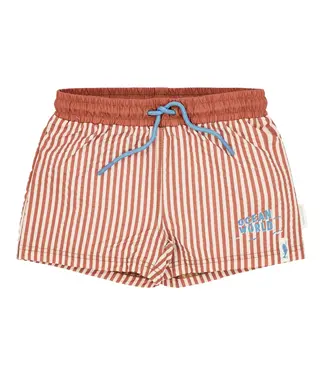 Little Dutch Zwembroek - Bruin - Ocean Brown Stripes