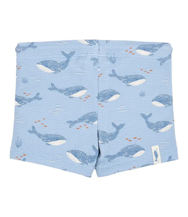 Little Dutch Zwembroek - Blauw - Ocean Splash