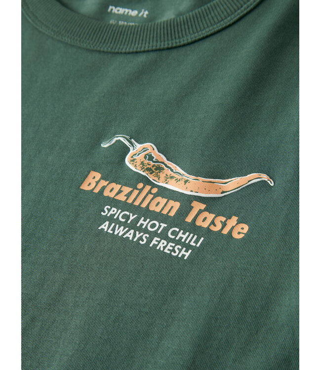 Name it 13255303 - NKMHIKKO SS NREG TOP - Garden Topiary