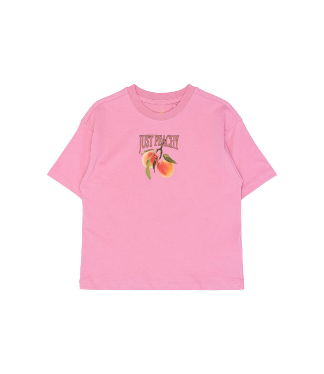 The New TN6993 TNTenna OS S_S Tee