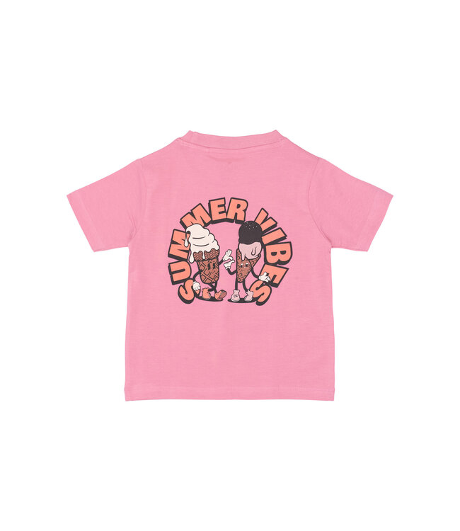 The New TNST6922 TNSTTundra S_S Tee Roze
