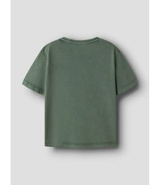 Name it NKMJOEL SS NREG TOP 13256612 Garden Topiary