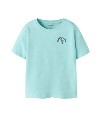 Name it mini Jongens T-Shirt