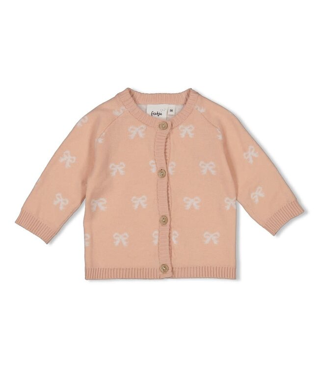Feetje 51300557 Vestje gebreid AO - The Knits Roze