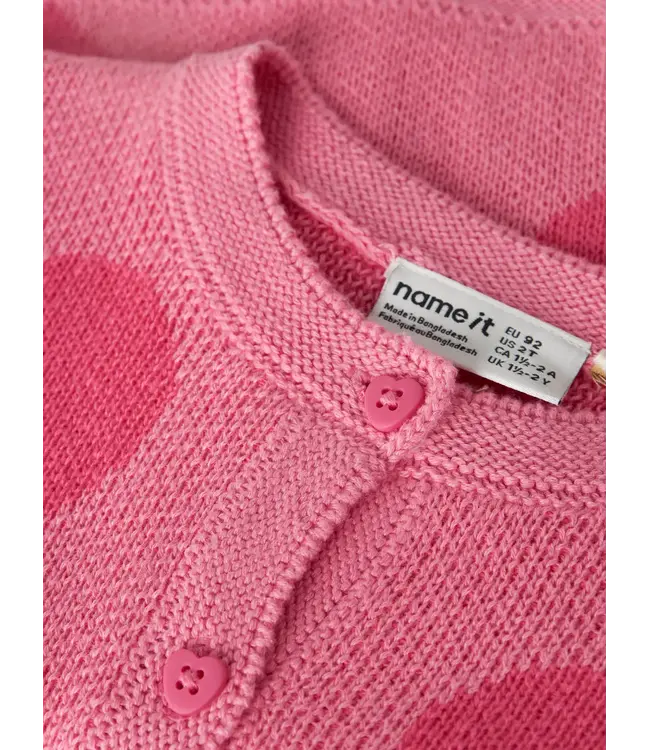 Name it mini NMFLIANAX LS KNIT 13258382 Flowering Ginger