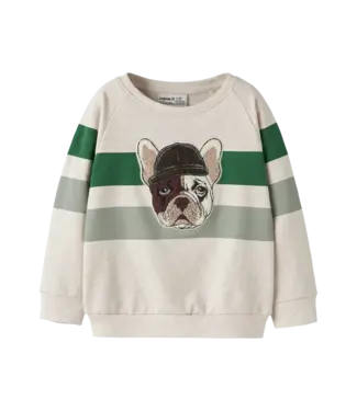 Name it mini Jongens Trui Dog
