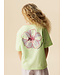 Name it 13251448 NKFHARPER SS NREG TOP BOX  PB Green