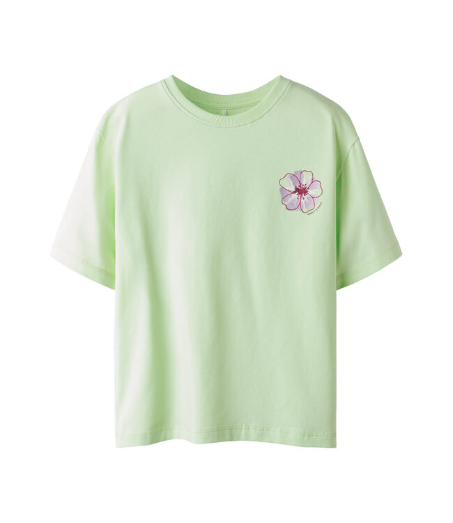 Name it 13251448 NKFHARPER SS NREG TOP BOX  PB Green