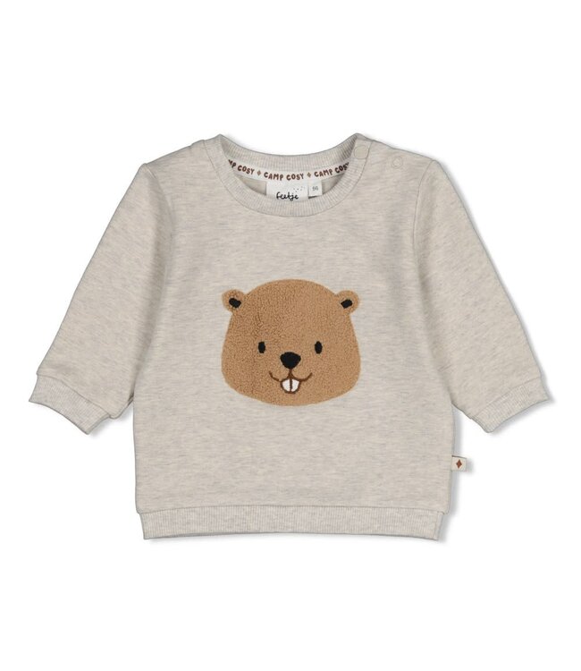 Feetje 51602782 Sweater - Tiny Timber Tales Grijs melange