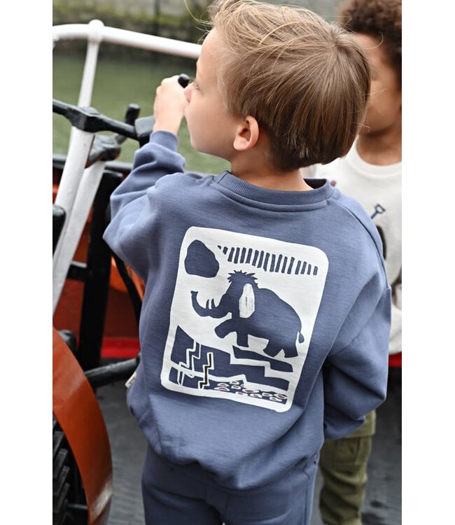 Sturdy 71600682 Sweater met backprint oversized - Rock the Earth Blauw