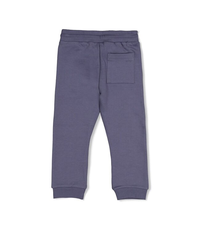 Sturdy 72200269 Broek - Rock the Earth Blauw