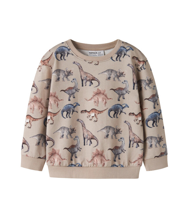 Name it mini 13259768 NMMHIMI LS NREG SWEAT UNB Grey