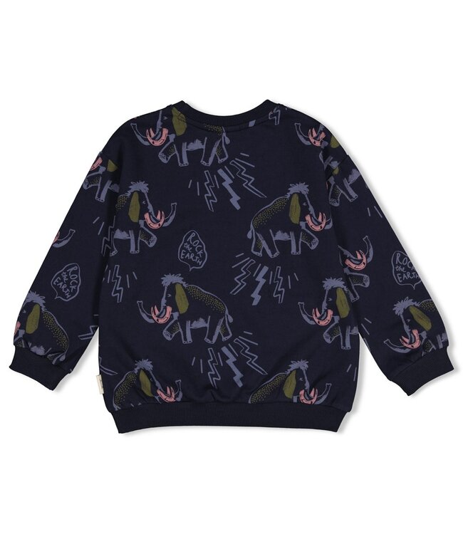 Sturdy 71600681 Sweater AOP relaxed fit - Rock the Earth d.Blauw
