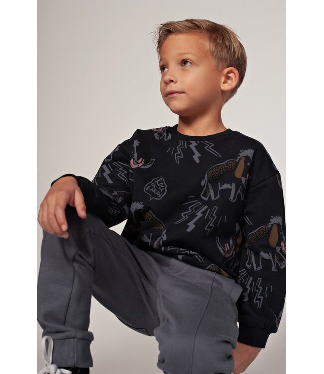 Sturdy 71600681 Sweater AOP relaxed fit - Rock the Earth d.Blauw