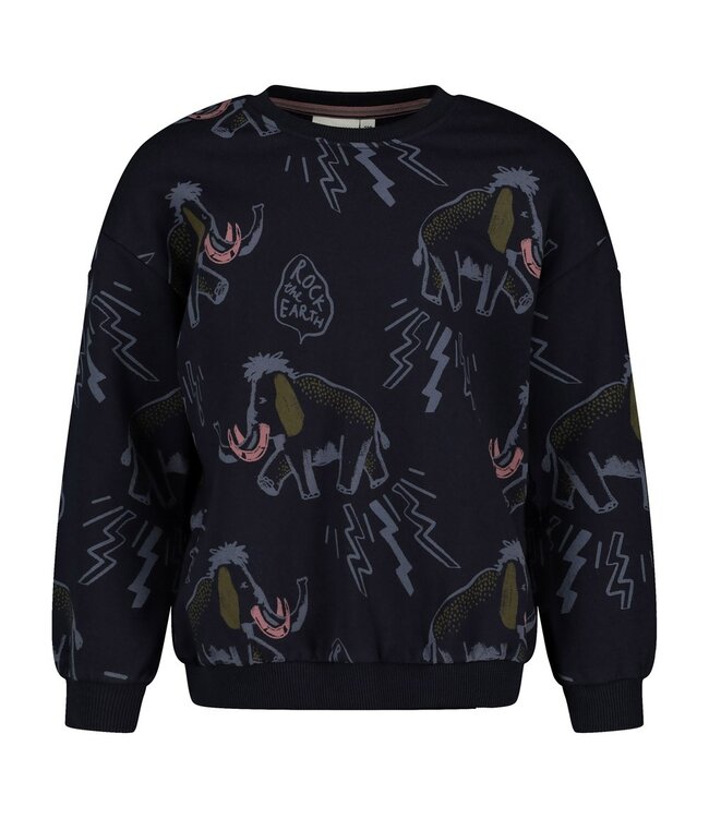 Sturdy 71600681 Sweater AOP relaxed fit - Rock the Earth d.Blauw