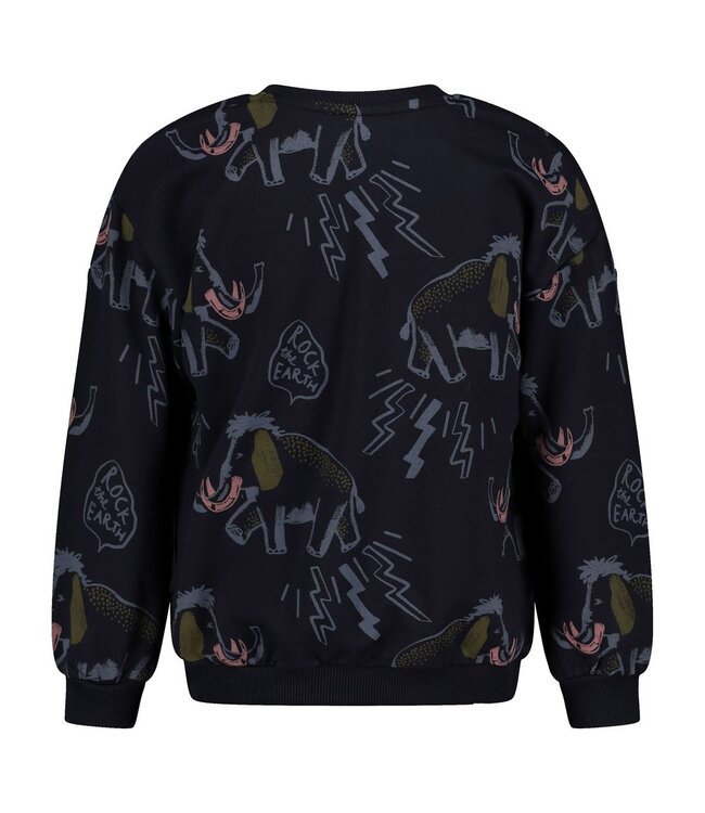 Sturdy 71600681 Sweater AOP relaxed fit - Rock the Earth d.Blauw