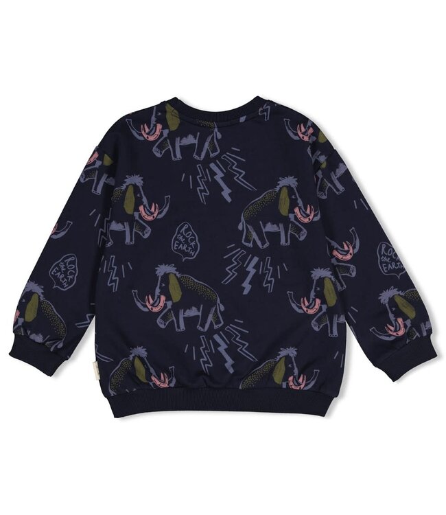 Sturdy 71600681 Sweater AOP relaxed fit - Rock the Earth d.Blauw