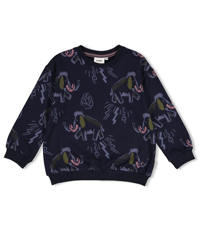 Sturdy 71600681 Sweater AOP relaxed fit - Rock the Earth d.Blauw