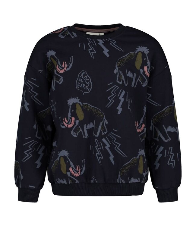 Sturdy 71600681 Sweater AOP relaxed fit - Rock the Earth d.Blauw